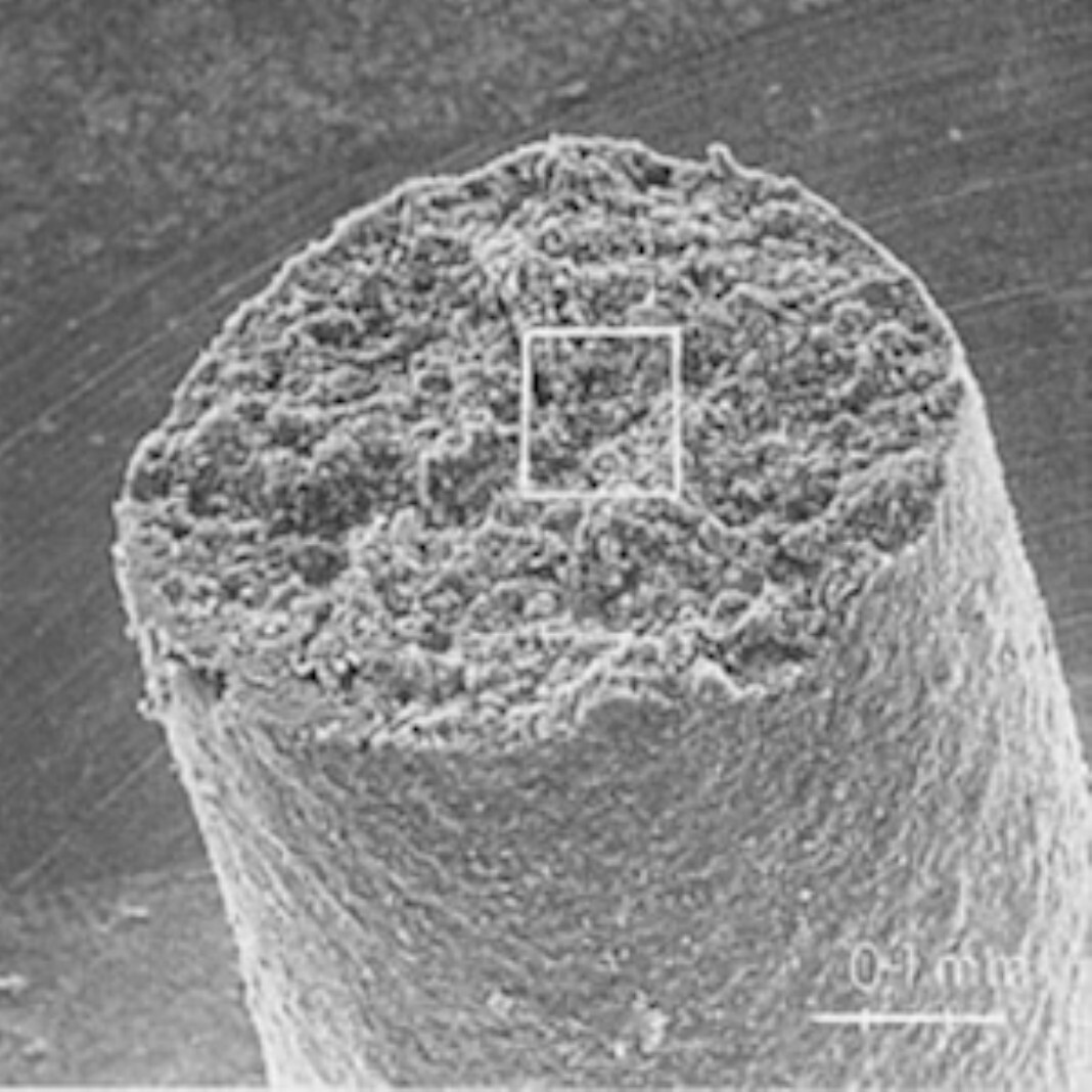 Mikroskopische Aufnahme Aktivkohle